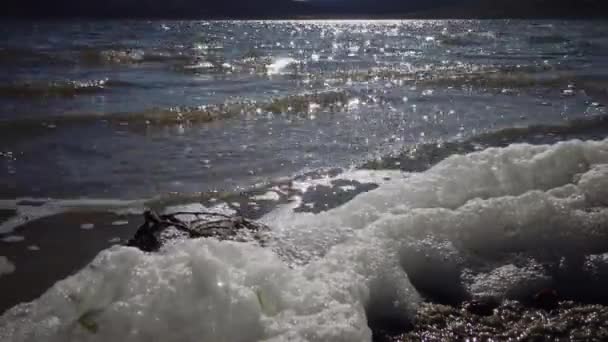 Vuil Schuim Het Water Kust Eutrofiëring Vervuiling Van Het Reservoir — Stockvideo