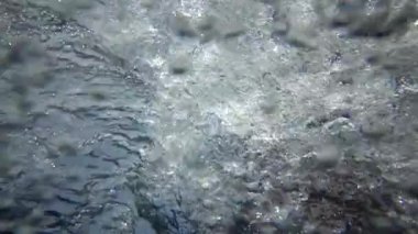 Dalgıç tekneden suya atlıyor, tüpten hava kabarcıkları çıkıyor, Kızıl Deniz 'de, Mısır' da, Marsa Alam 'da, Abu Dabab' da...