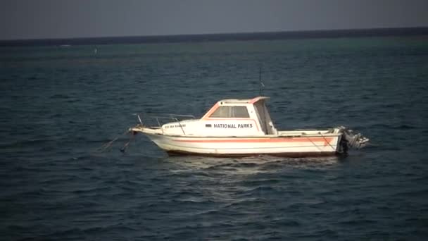 Egito Abu Dabb Maio 2019 Barco Pescador Madeira Mar Vermelho — Vídeo de Stock