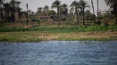 LUXOR, EGYPT - 5 Nisan 2019: Nil Nehri 'ndeki bir tekneden kıyı manzarası, kıyı boyunca çöp. Çevre kirliliği, çevre sorunu. Mısır