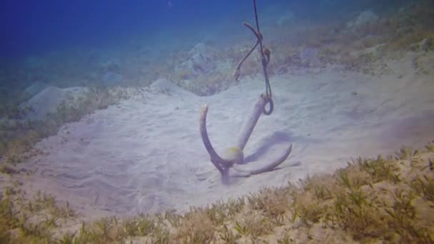 Σιδερένια Άγκυρα Αμμώδη Πυθμένα Κοντά Κοραλλιογενή Ύφαλο Ερυθρά Θάλασσα Αίγυπτος — Αρχείο Βίντεο