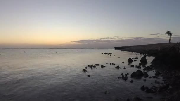 Salida Del Sol Sobre Mar Arrecife Costero Marea Baja Mar — Vídeo de stock