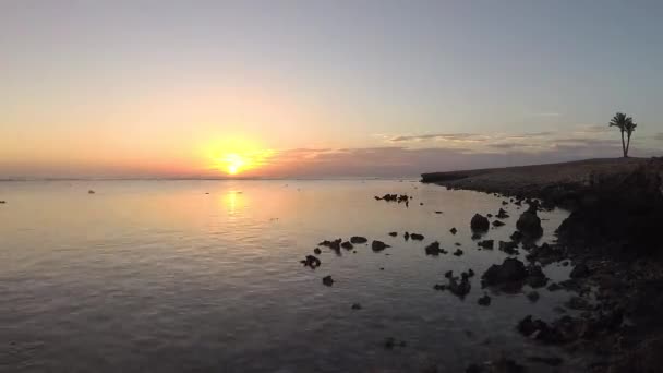 Сонячний Підйом Над Морем Прибережний Риф Низьким Припливом Червоне Море — стокове відео