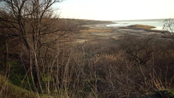 Orilla Primavera Temprana Del Estuario Hadzhibey Ucrania — Vídeo de stock