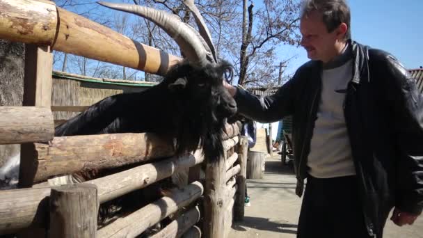 Ukraina Odessa Zoo April 2019 Zoo Besökare Spelar Med Husdjur — Stockvideo