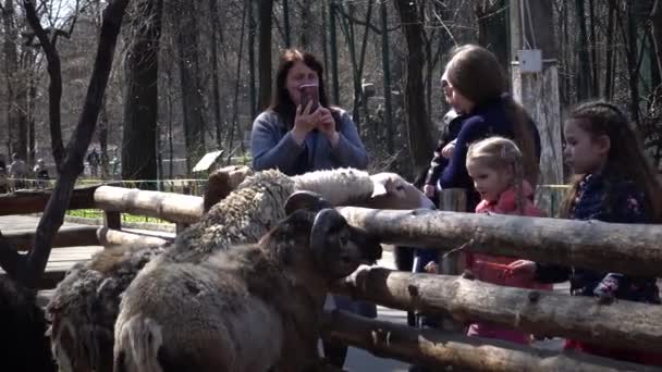 Ucraina Odessa Zoo Aprile 2019 Visitatori Dello Zoo Bambini Nutrono — Video Stock