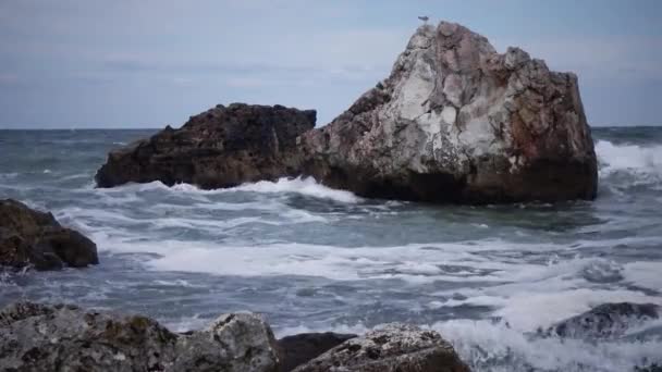 黑海风暴 保加利亚Tulenovo村附近沿海悬崖上的波浪破裂 — 图库视频影像