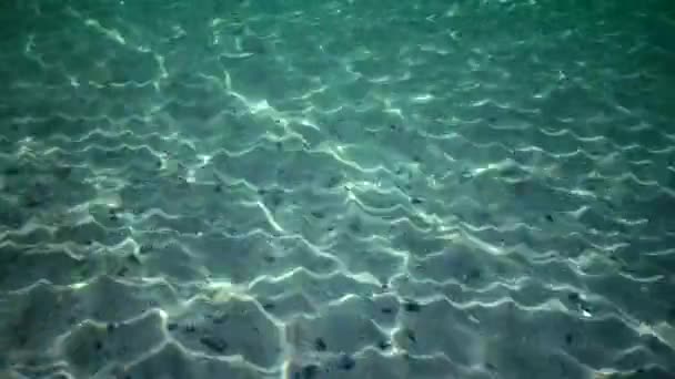 Solens Bländning Havsbotten Solens Strålar Vattenpelaren Och Havsbotten Speglingen Ljus — Stockvideo