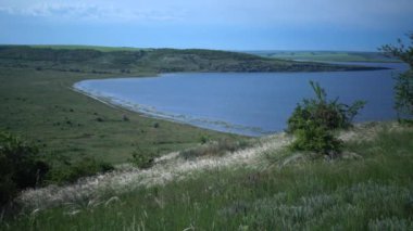 Stipa lessingiana (İğne Çimi, Uzun Çimen), Tiligul halklarının kıyısındaki peyzaj parkında rüzgarda savruluyor. Nadir bulunan bitki, Ukrayna 'nın Kırmızı Kitabı.