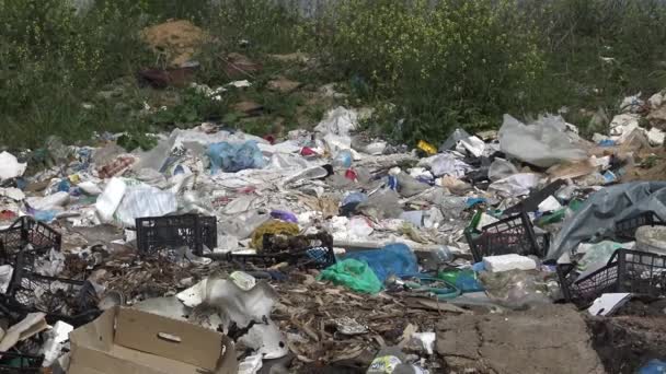Hopen Plastic Afval Aan Oever Van Het Reservoir Milieuvervuiling Ecologie — Stockvideo