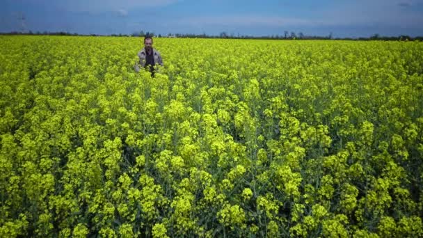 Een Man Loopt Een Bloeiend Veld Gebied Van Koolzaad Canola — Stockvideo