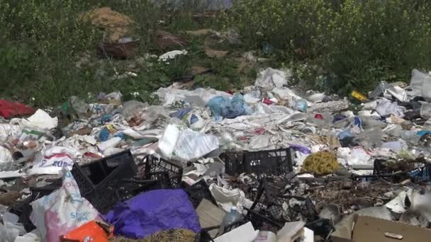 Haufenweise Plastikmüll Ufer Des Stausees Umweltverschmutzung Ökologie Der Natur Unorganisierte — Stockvideo