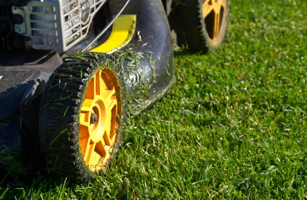 Closeup in Slow Motion of a Mower in Action — Stok Foto