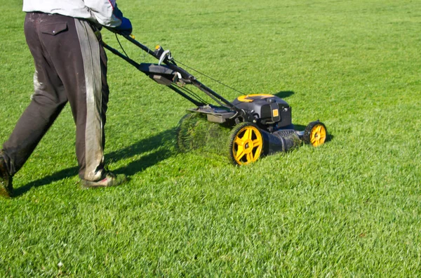Mowing grass in a football stadium — Stock Photo, Image