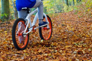 Gençler ormanda sağlıklı aktif yaşam tarzı düşük açılı görünümü yakın ağır çekim bir Bmx bisiklet sürme