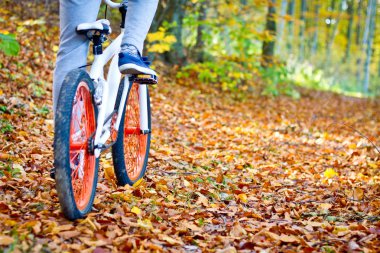 Gençler ormanda sağlıklı aktif yaşam tarzı düşük açılı görünümü yakın ağır çekim bir Bmx bisiklet sürme