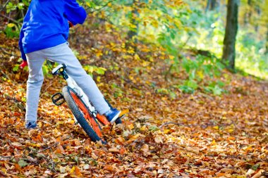 Genç binici sonbahar ormanın içinde yüksek hızlı bir iniş üzerinde bir Bmx bisiklet sürmek ve önemli ölçüde yavaşlar