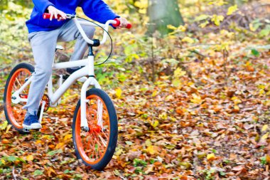 Spor. Ormanda bir dağ bisikleti ile bir Bisiklete BMX A bisikletçi