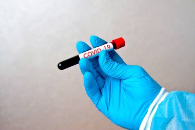 Hand in blue medical disposable rubber gloves holding test tube with red blood on gray background with the inscription COVID-19 clipart