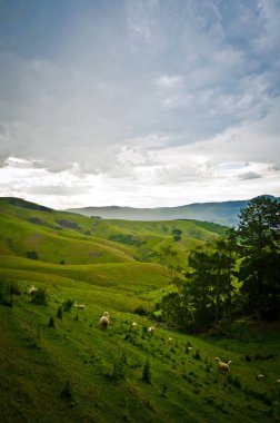 Fırtınadan sonra manzara