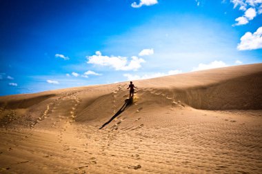 Yeni Zelanda Dunes