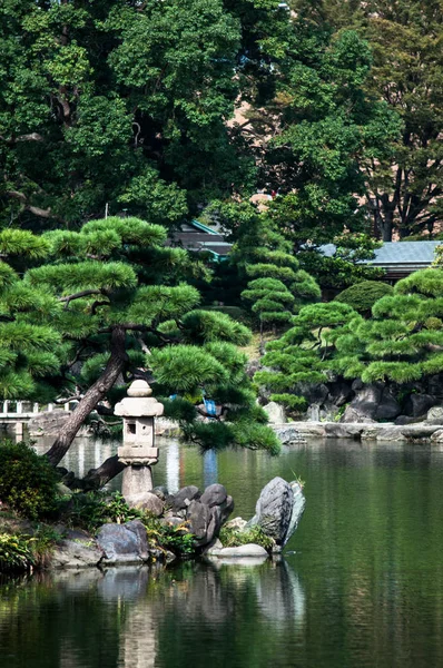 東京日本庭園 — ストック写真