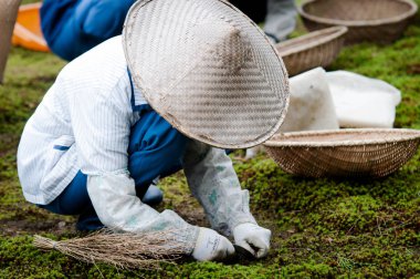 Japon işçi, Kanazawa