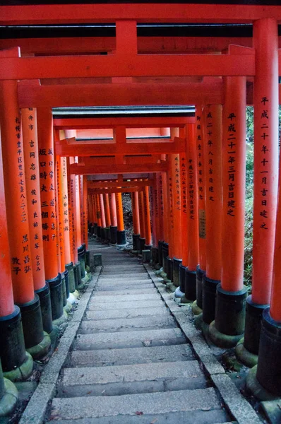 京都伏見稲荷 — ストック写真