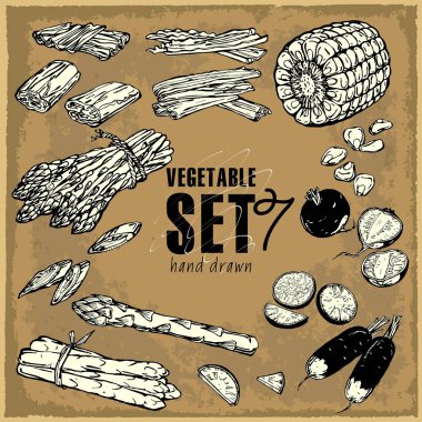 Elle çizilmiş sebze ayarlayın. Gıda kroki topluluğu. Vektör çizim