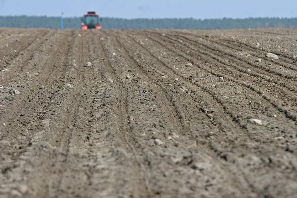 Трактор готовит землю к посеву. Трактор с культиватором обрабатывает поле перед посадкой. Подготовка земли к посеву весной, фермер на тракторе . — стоковое фото