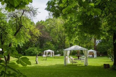 bir tablo ayarı ile park Teras restoranda.