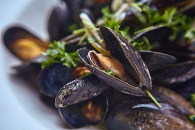 Taze istiridye baharatlı sos sebze salatası ile tepesinde. Bir plaka üzerinde taze istiridye.