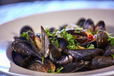 Taze istiridye baharatlı sos sebze salatası ile tepesinde. Bir plaka üzerinde taze istiridye.