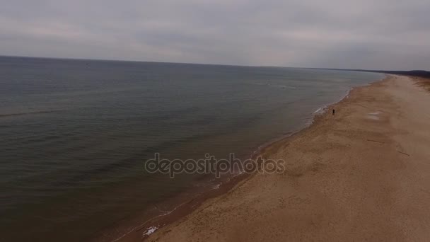 Polonya Baltık Denizi Kuşlar Görüntüleyin Kumsalda Polonya Rewal Baltık Denizi — Stok video