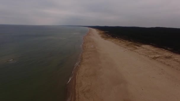 Morze Bałtyckie Polsce Zobacz Ptaków Zobacz Piaszczystej Plaży Polska Rewal — Wideo stockowe