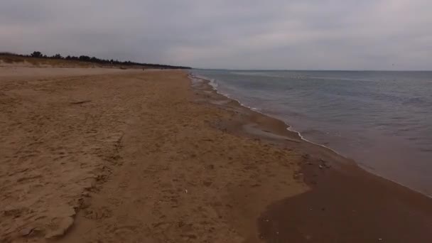 Baltic Sea Poland Birds View View Sandy Beach Poland Rewal — Stock Video