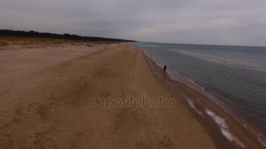 Polonya Baltık Denizi. Kuşlar görüntüleyin. Kumsalda - Polonya, Rewal, Baltık Denizi görüntüleyin. Hava.