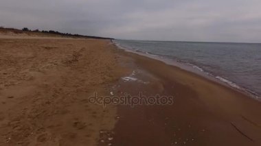 Polonya Baltık Denizi. Kuşlar görüntüleyin. Kumsalda - Polonya, Rewal, Baltık Denizi görüntüleyin. Hava.