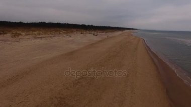 Polonya Baltık Denizi. Kuşlar görüntüleyin. Kumsalda - Polonya, Rewal, Baltık Denizi görüntüleyin. Hava.