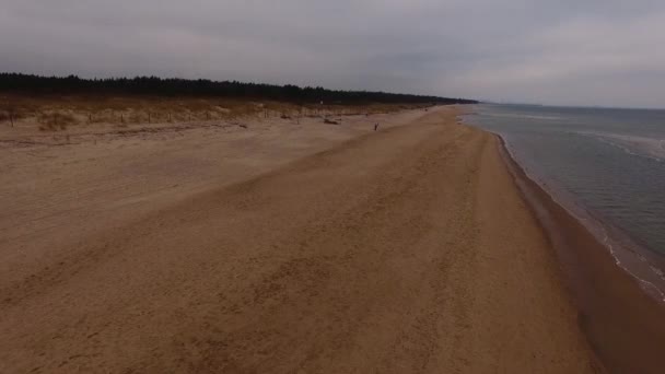 Baltic Sea Poland Birds View View Sandy Beach Poland Rewal — Stock Video