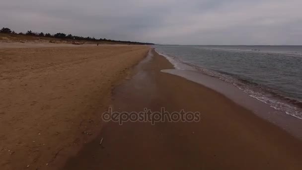 Oostzee Polen Vogels Bekijken Bekijk Zandstrand Rewal Polen Baltische Zee — Stockvideo