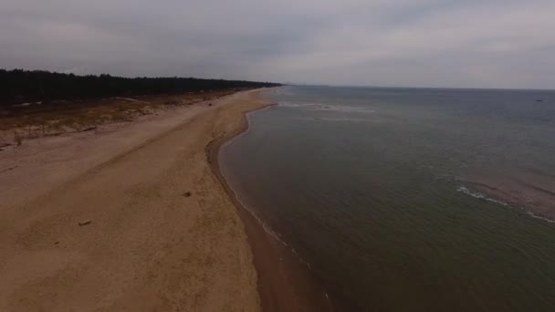 Östersjön Polen Fåglar Visa Visa Sandstrand Polen Rewal Östersjön Antenn — Stockvideo