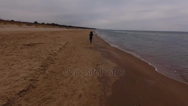 Baltic Sea Poland Birds View View Sandy Beach Poland Rewal — Stock Video