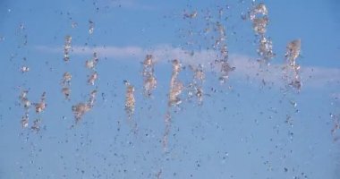 Gökyüzüne karşı sıçrayan su