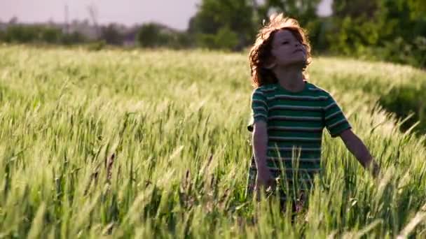 Niño en vacaciones de verano — Vídeo de stock