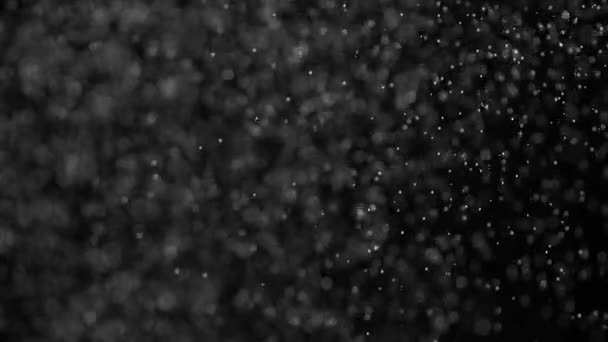 Falling Particles Simulate Snowfall — Stock Video