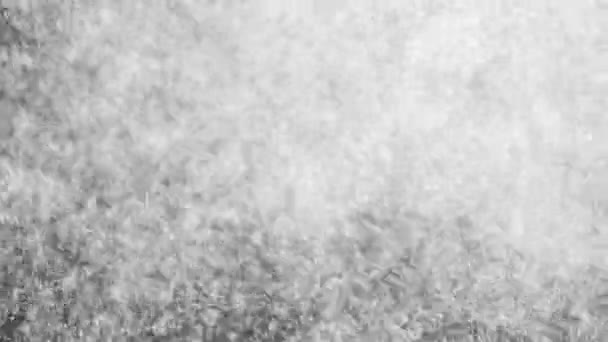 Blizzard av vita partiklar — Stockvideo
