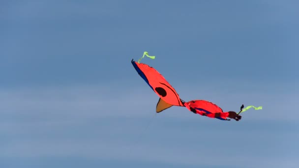 Kite Flying Against a Blue Sky — Stock Video