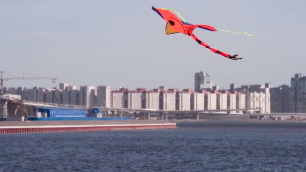 在城市的背景上放风筝 — 图库视频影像