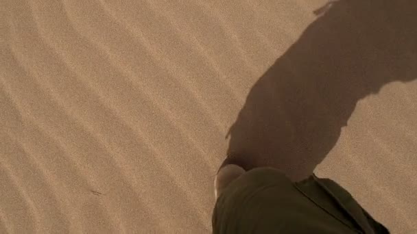 砂漠で脱水 — ストック動画